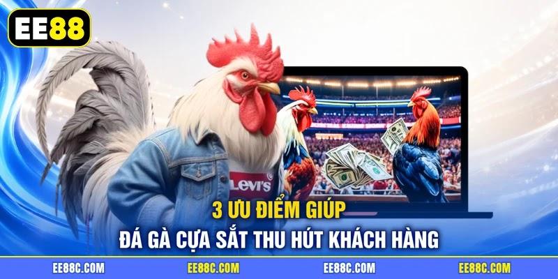 3 ưu điểm giúp đá gà cựa sắt thu hút khách hàng