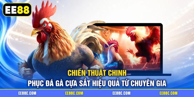 Chiến thuật chinh phục đá gà cựa sắt hiệu quả từ chuyên gia