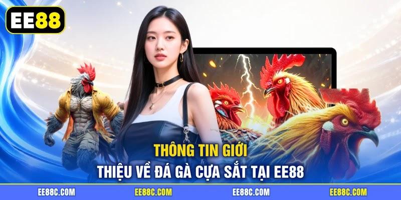 Thông tin giới thiệu về đá gà cựa sắt tại EE88